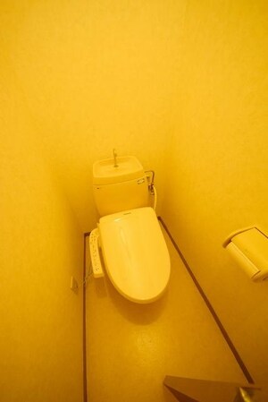 タウンコート(鶴ヶ島)の物件内観写真